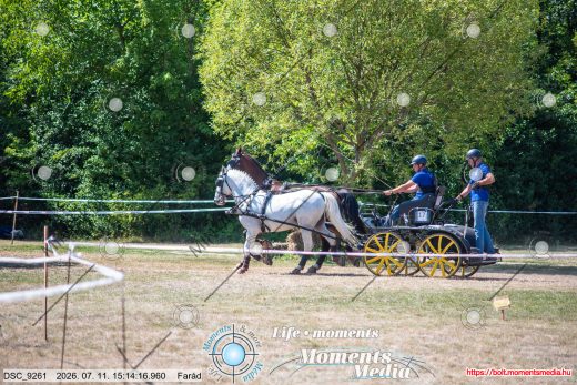Mintakép 20260711-544