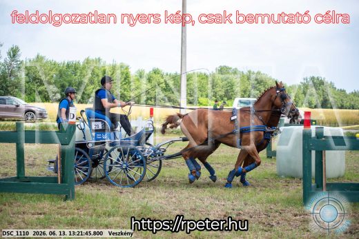 Mintakép 20260613-945