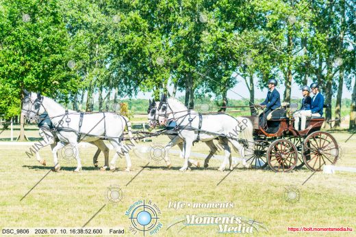20260710-163852-DSC_9806.jpg