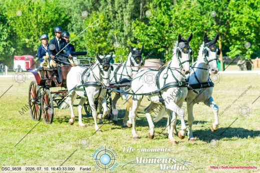 Mintakép 20260710-568