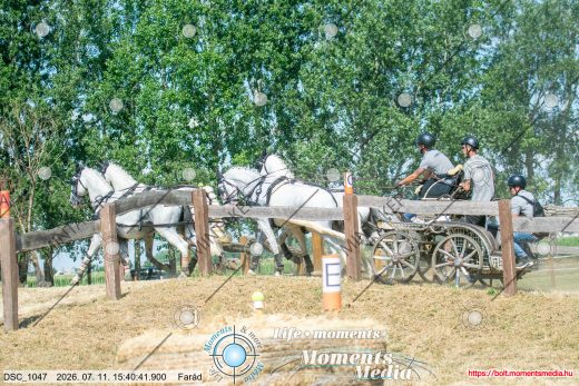 Mintakép 20260711-571