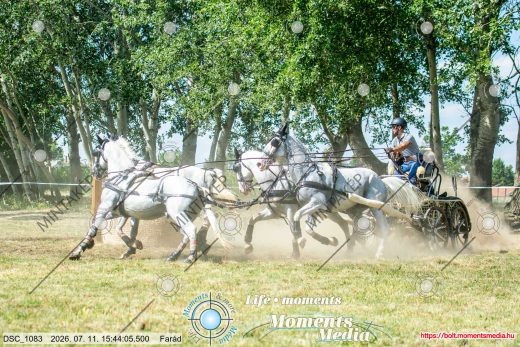 Mintakép 20260711-587