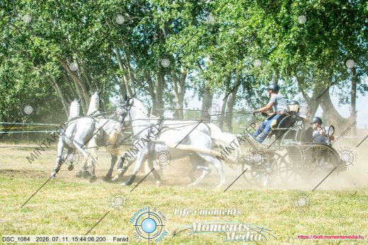 Mintakép 20260711-588