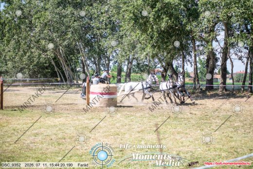 Mintakép 20260711-599