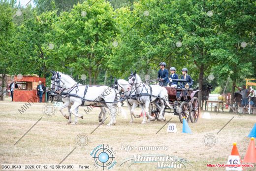 Mintakép 20260712-388