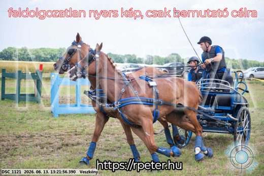 Mintakép 20260613-956