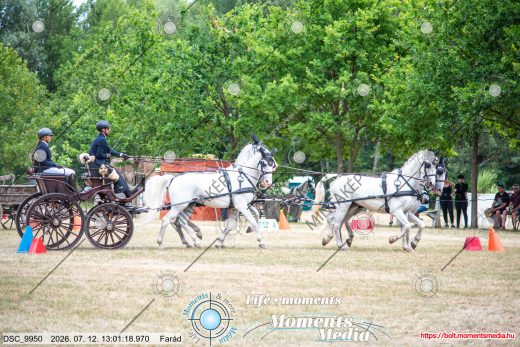 Mintakép 20260712-400
