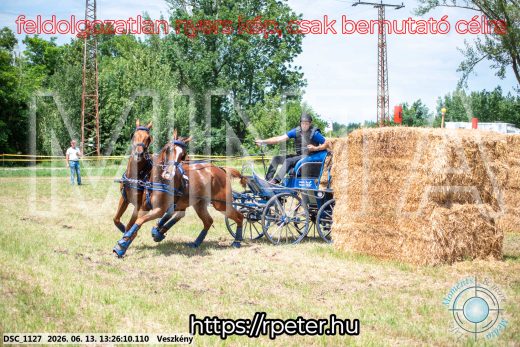 Mintakép 20260613-962