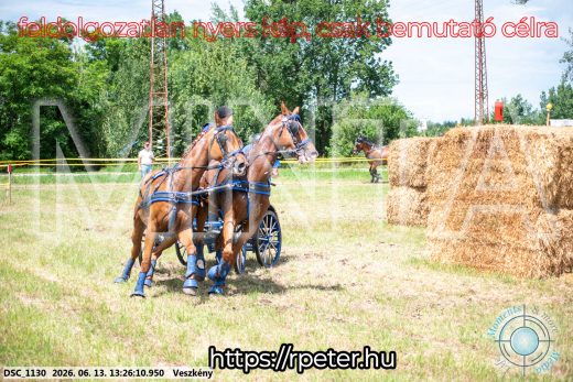 Mintakép 20260613-965