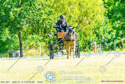 Mintakép 20260710-609