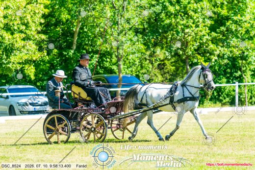 Mintakép 20260710-616
