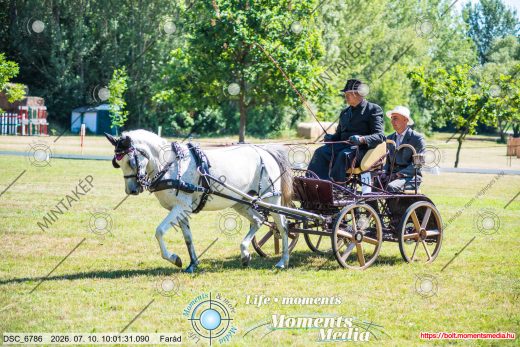 Mintakép 20260710-628