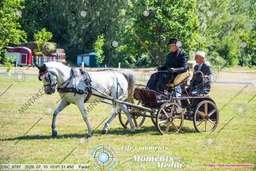 Mintakép 20260710-629