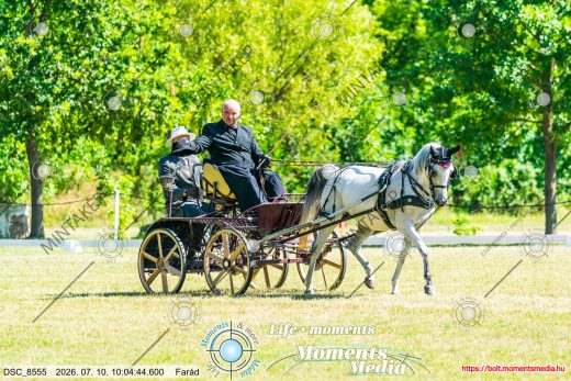 Mintakép 20260710-636