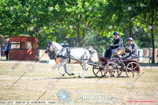 Mintakép 20260712-431