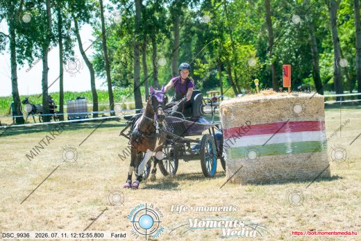Mintakép 20260711-663