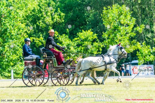 20260710-103039-DSC_8608.jpg