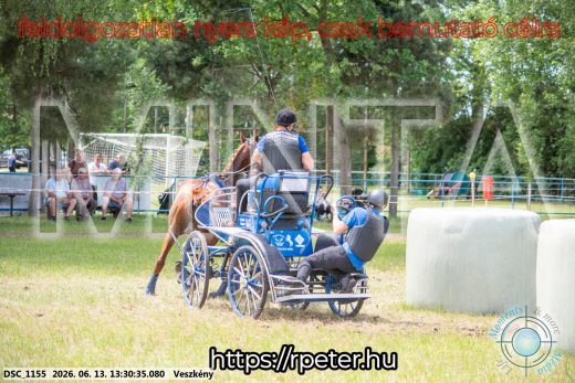 Mintakép 20260613-982