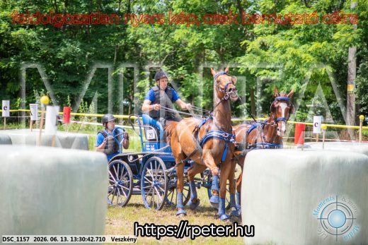 Mintakép 20260613-984