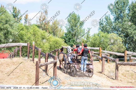 Mintakép 20260711-742