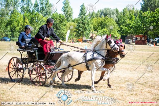Mintakép 20260712-472
