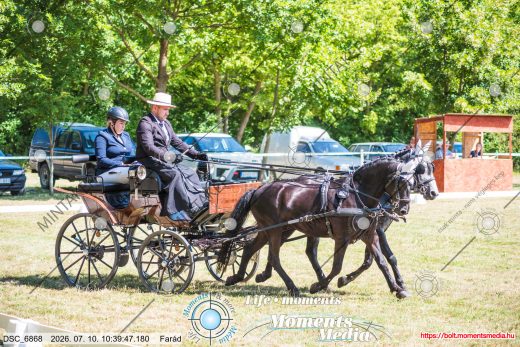 20260710-103947-DSC_6868.jpg