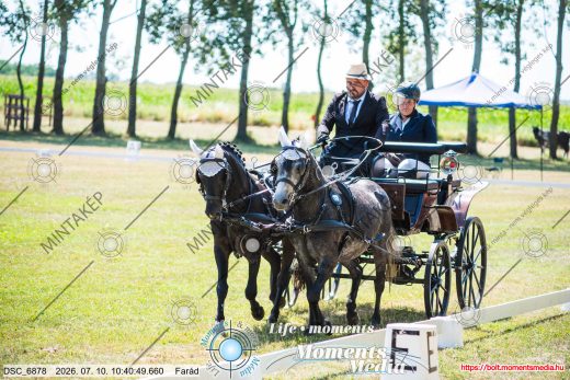 Mintakép 20260710-687