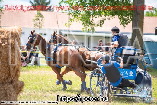 Mintakép 20260613-996