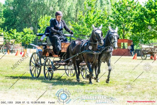 Mintakép 20260712-495