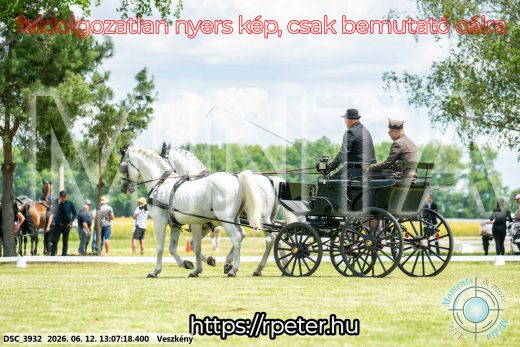 Mintakép 20260612-9