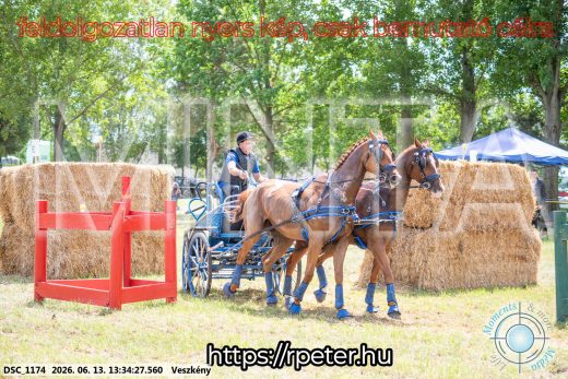 Mintakép 20260613-1001