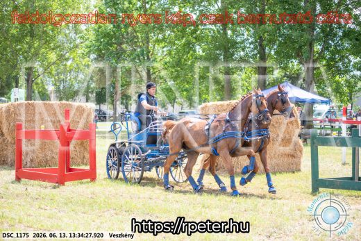 Mintakép 20260613-1002