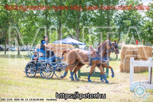 Mintakép 20260613-1003