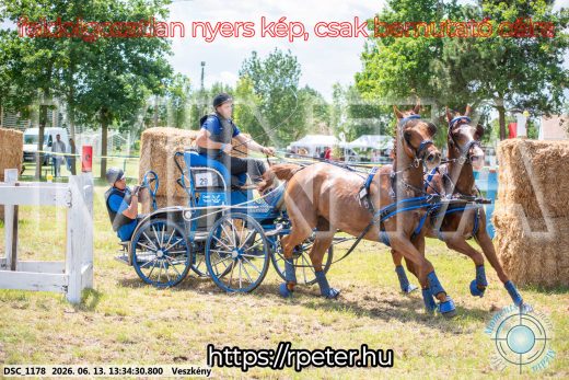 Mintakép 20260613-1005
