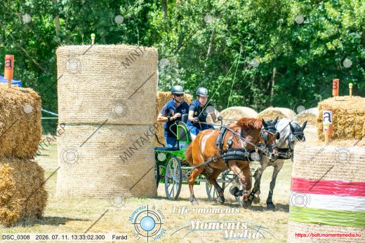 Mintakép 20260711-824