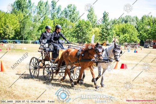 Mintakép 20260712-532