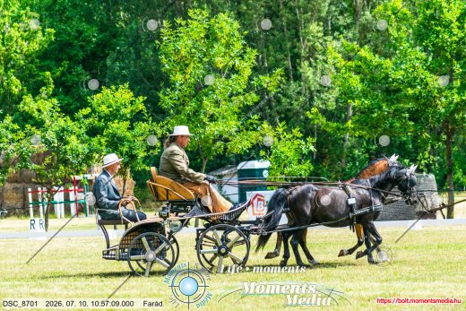 20260710-105709-DSC_8701.jpg