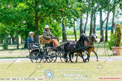 Mintakép 20260710-744