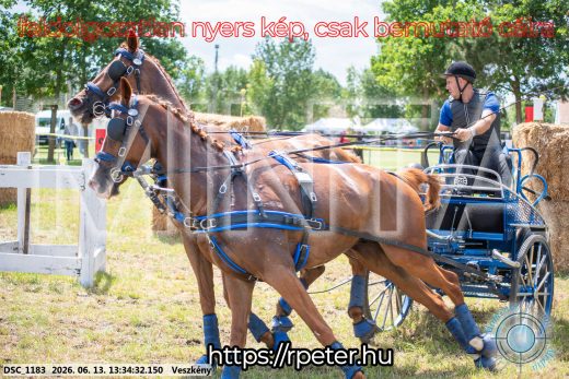 Mintakép 20260613-1010