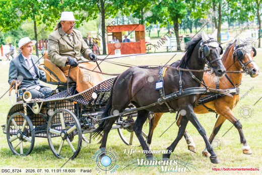 Mintakép 20260710-756