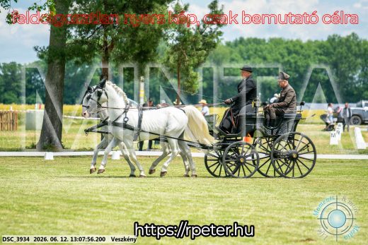 Mintakép 20260612-10