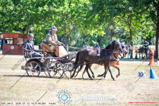 Mintakép 20260712-545