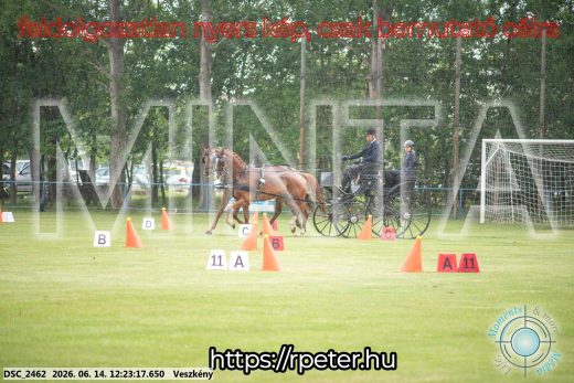 Mintakép 20260614-343
