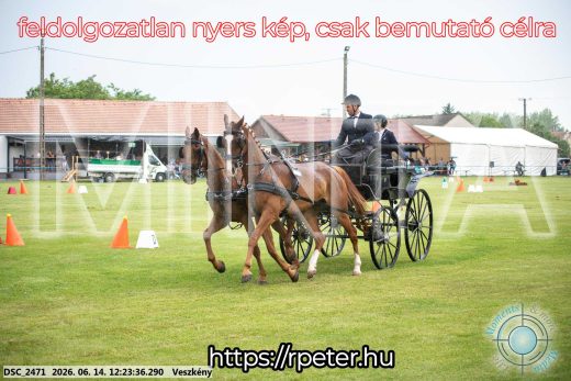 Mintakép 20260614-350