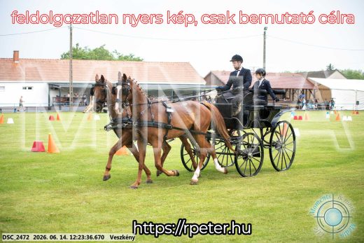 Mintakép 20260614-351