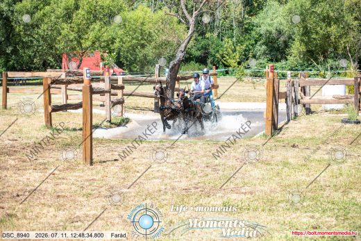 Mintakép 20260711-894