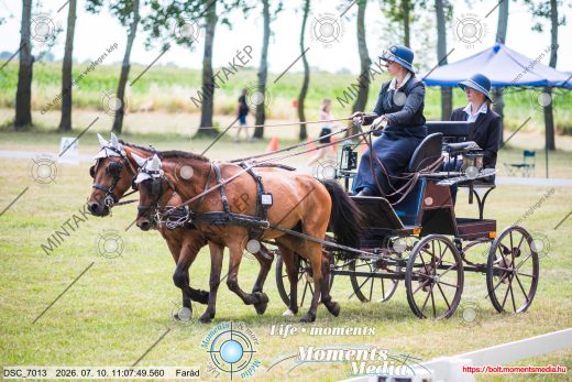 Mintakép 20260710-828
