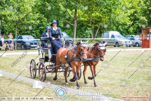 Mintakép 20260710-830