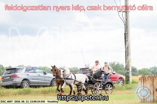 Mintakép 20260613