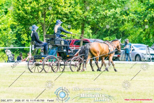 Mintakép 20260710-838